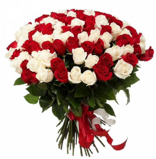 Букет цветов "101 бело-красная роза" Букет цветов "101 бело-красная роза"